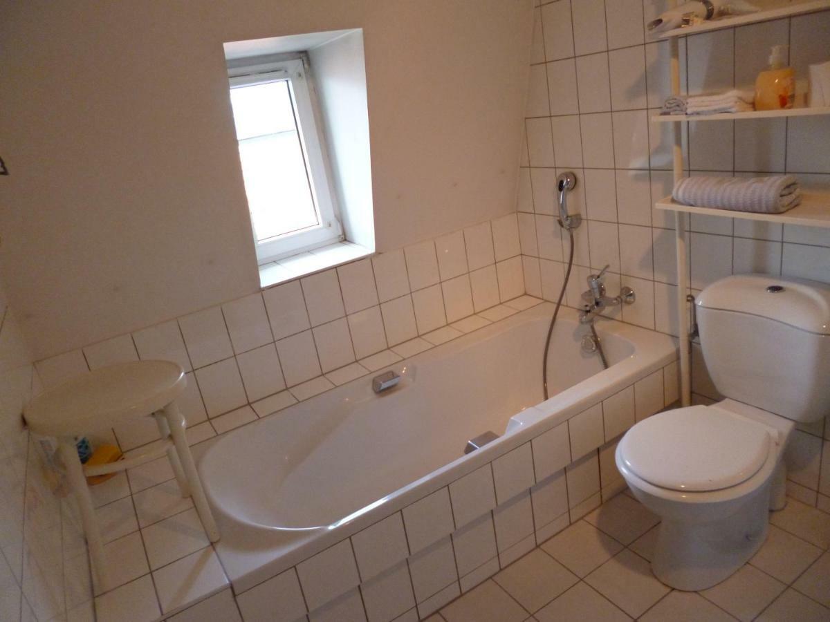 Albrecht Guest Apartement Kembs Εξωτερικό φωτογραφία